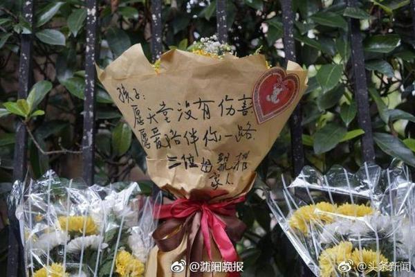 足球报：“专治不服”的河南队回来了，这是河南球迷久违的球队